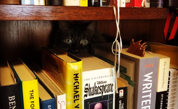 Bookshelf