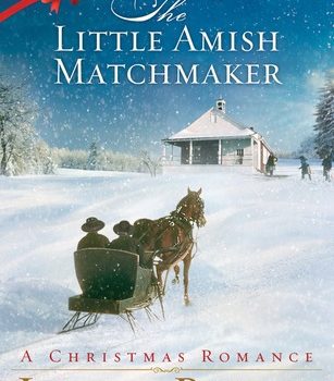 Little Amish Matchmaker