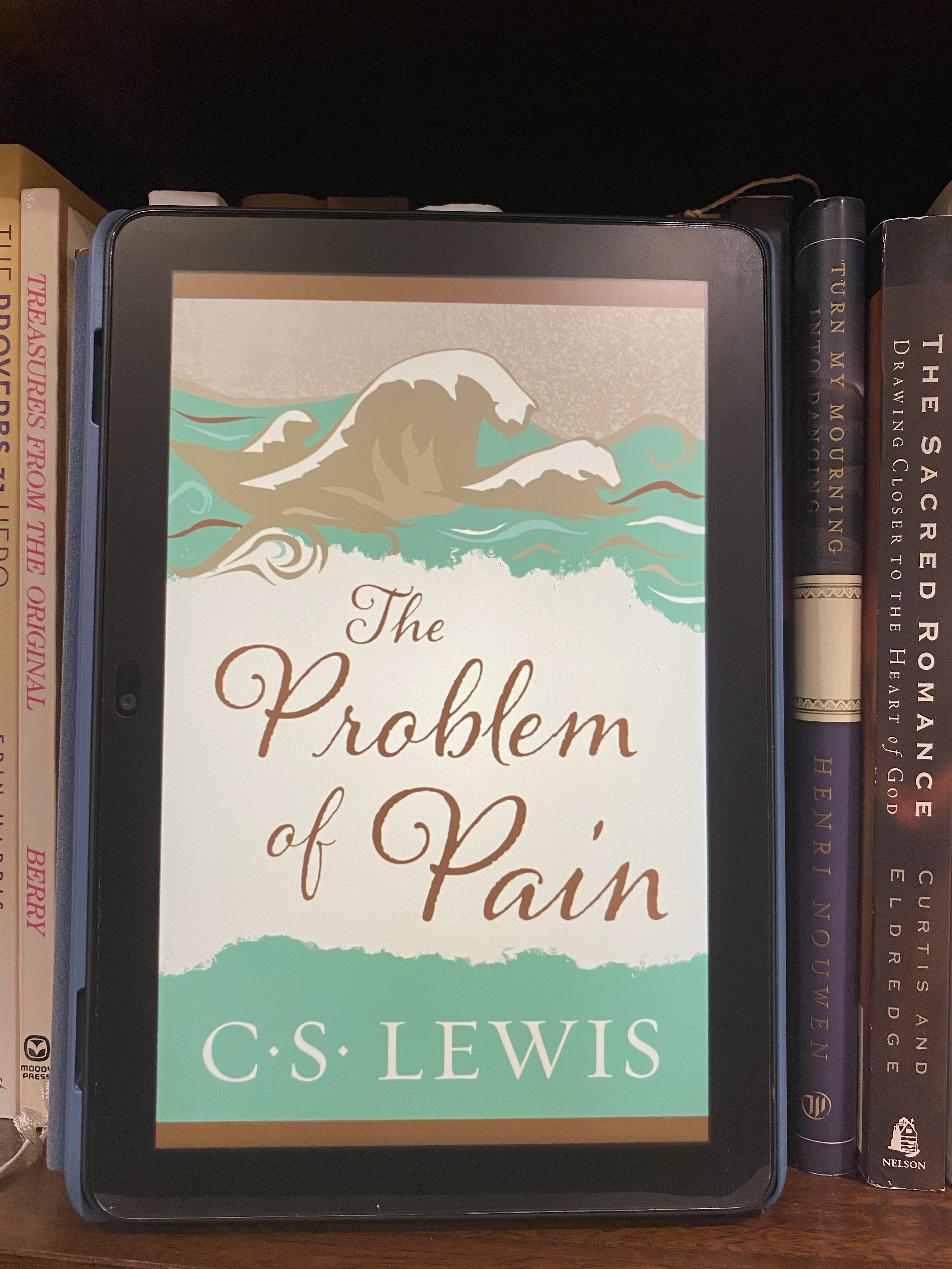 The Problem of Pain