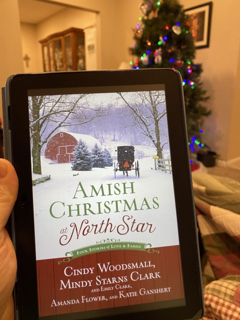 Amish Christmas at North Star