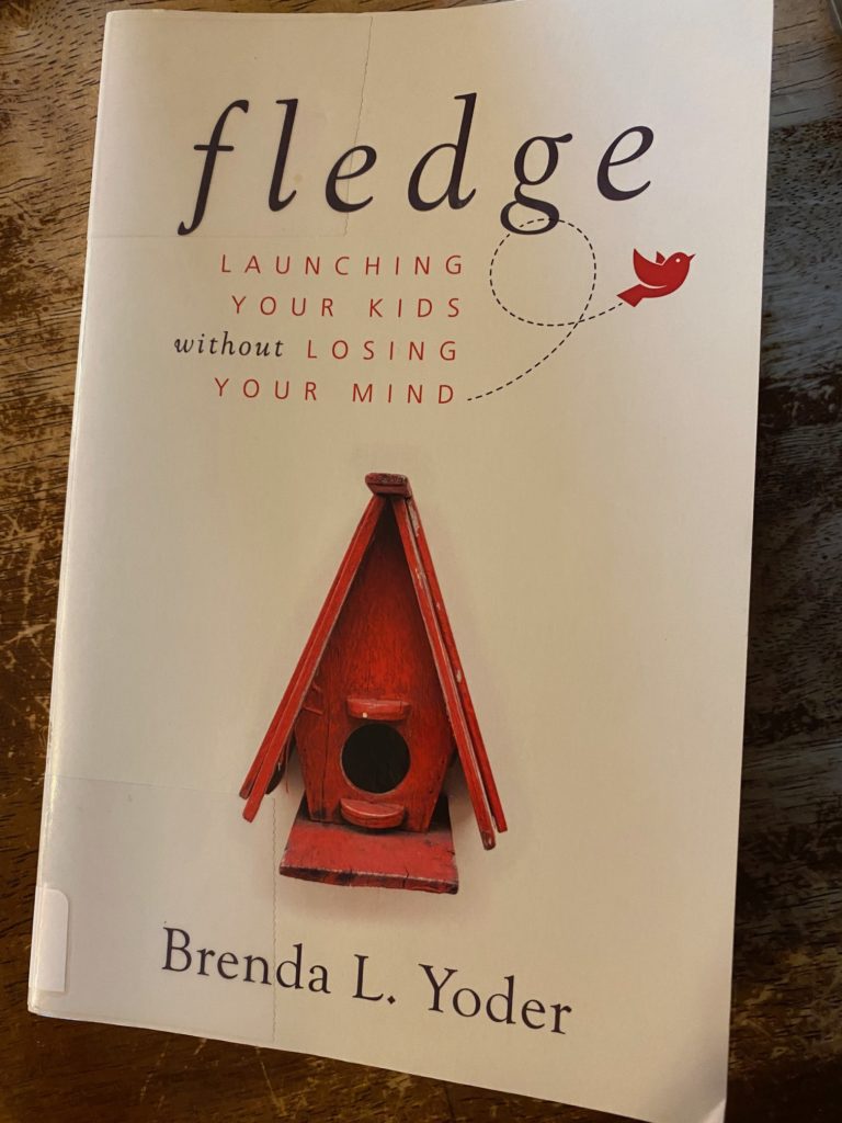 Fledge by Brenda Yoder